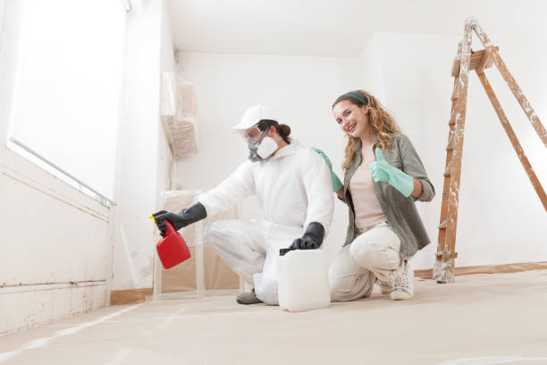 Best Emergency Mold Remediation  in Yorkshire, VA